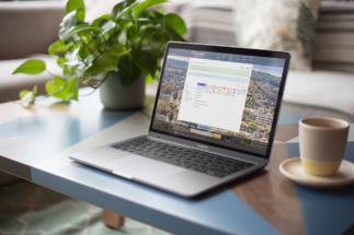 Laptop and a house plant on a coffee table